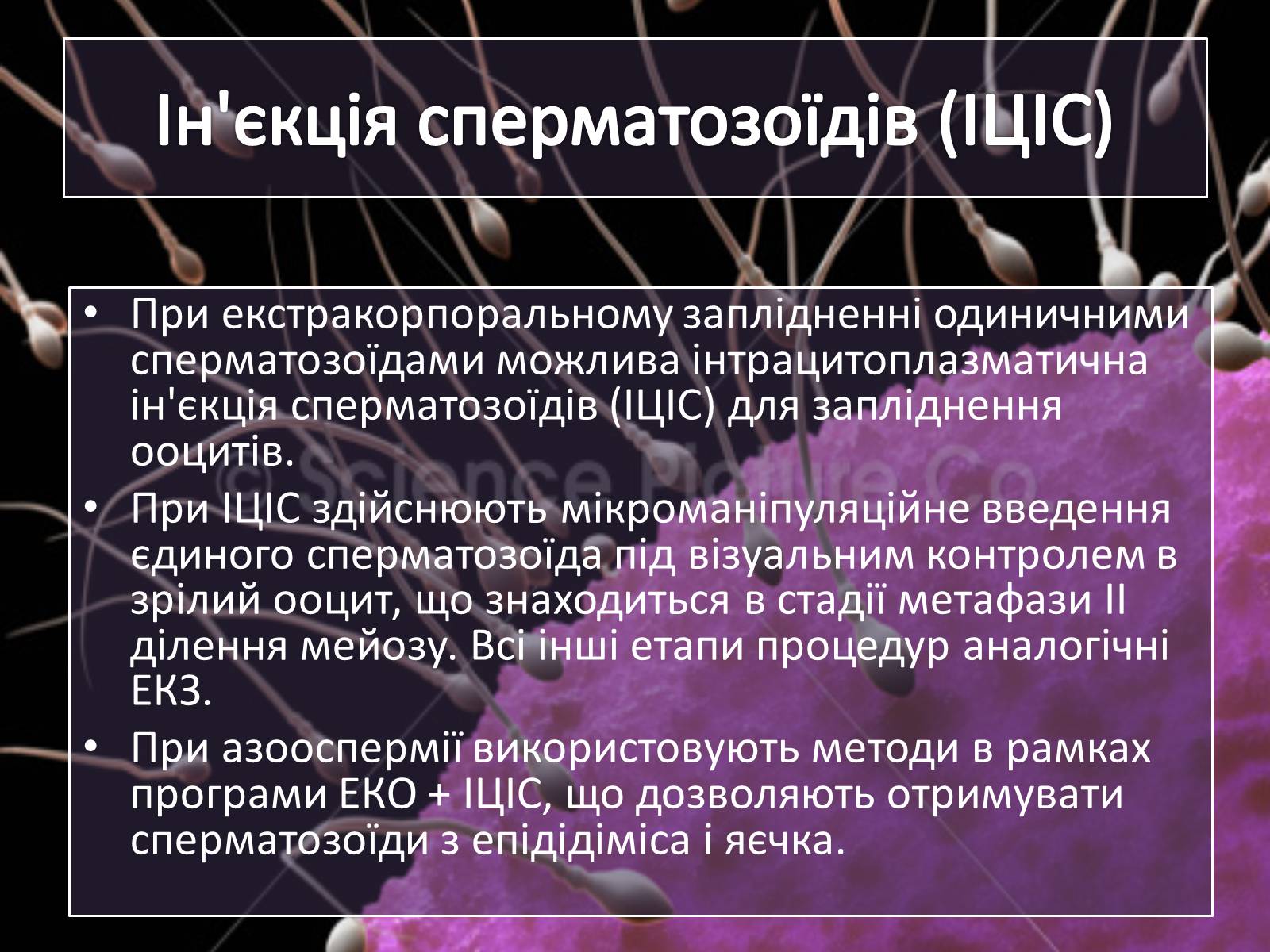 Презентація на тему «Штучне зіпліднення» - Слайд #9