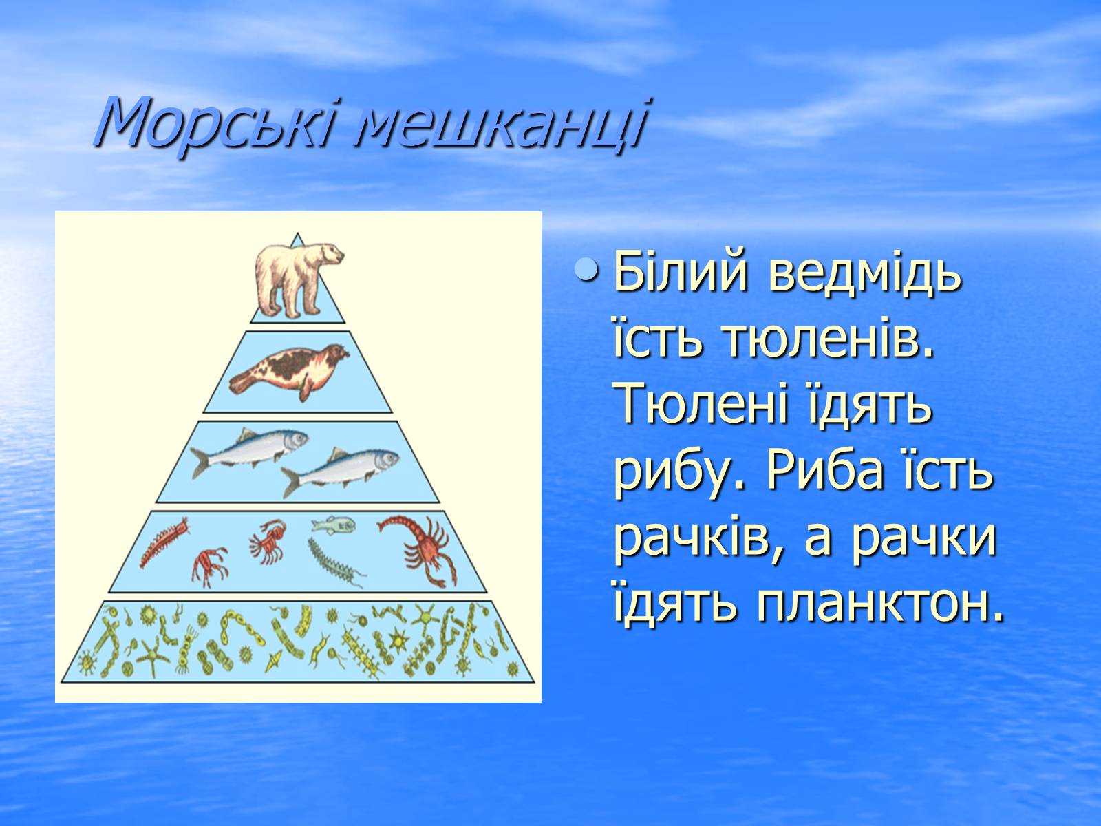 Презентація на тему «Харчовий ланцюг» - Слайд #2