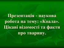 Презентація на тему «Коала»