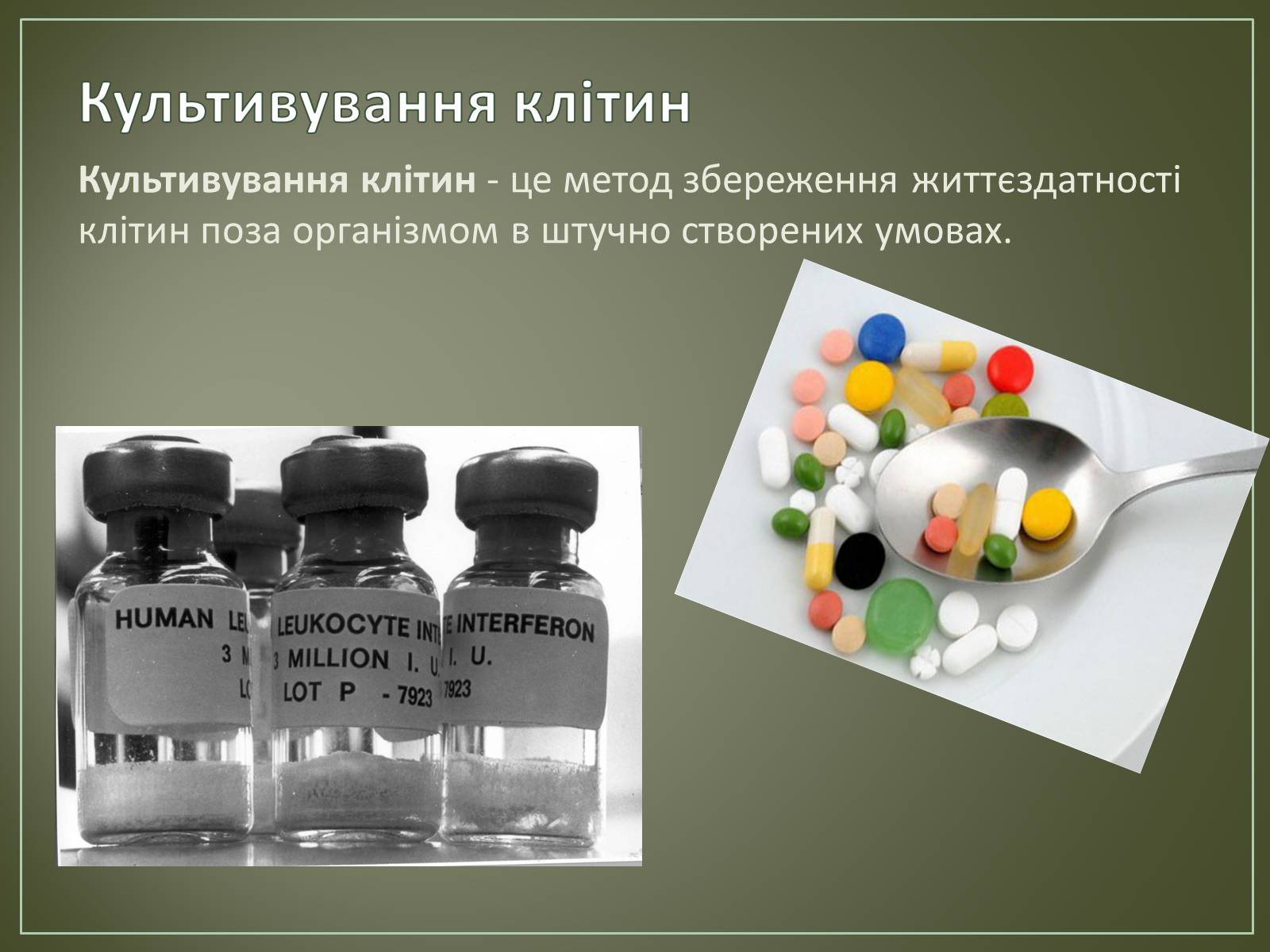 Презентація на тему «Основні напрямки біотехнології» - Слайд #21