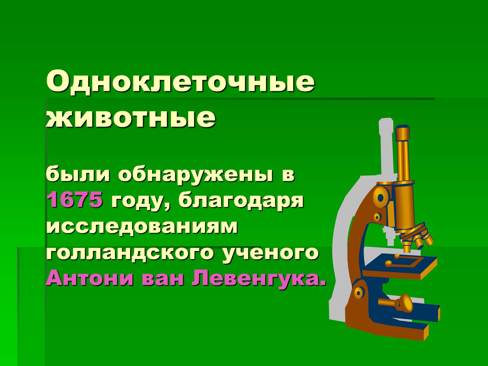 Презентація на тему «Подцарство Одноклеточные или Простейшие» - Слайд #3