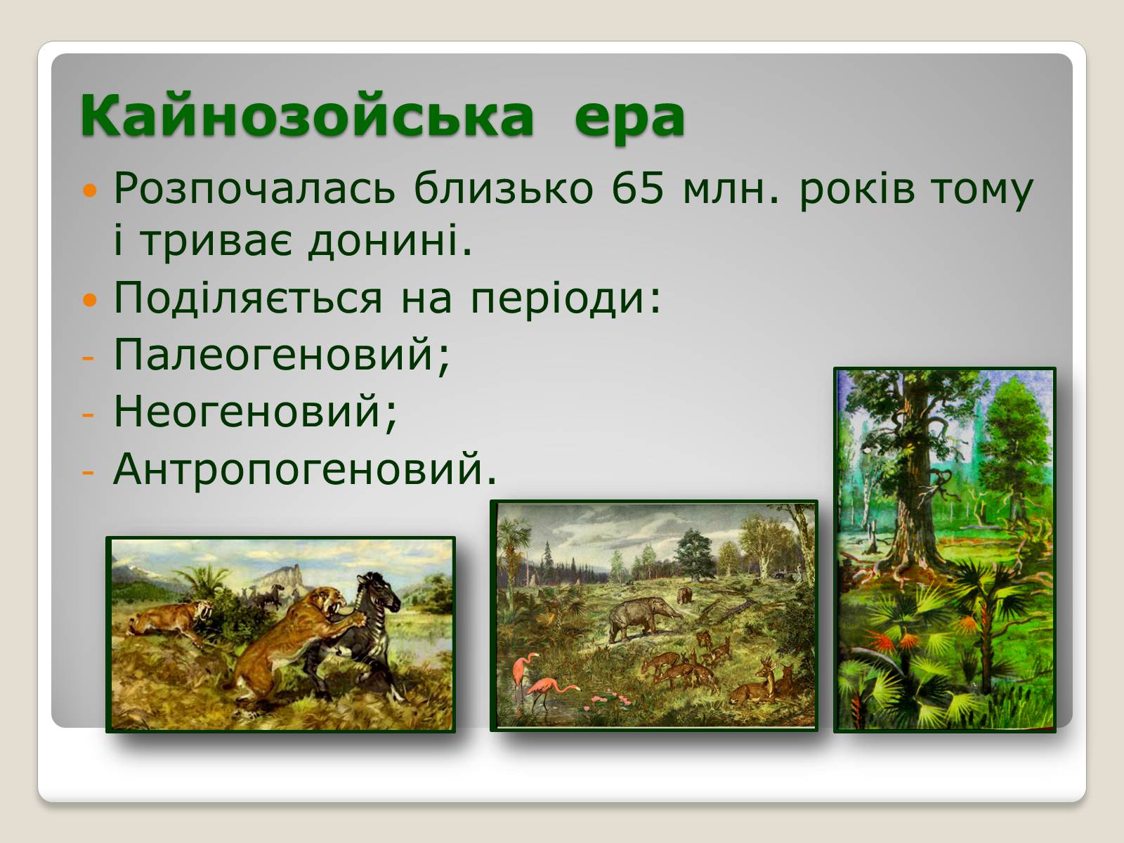 Презентація на тему «Основні ароморфози в еволюції» - Слайд #14