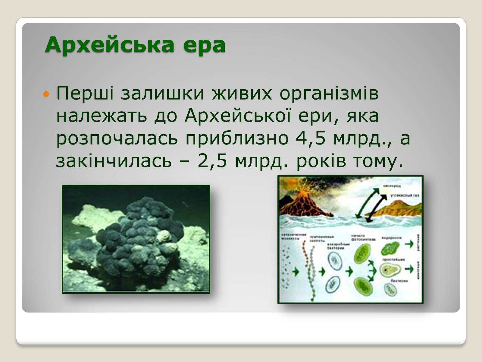 Презентація на тему «Основні ароморфози в еволюції» - Слайд #4