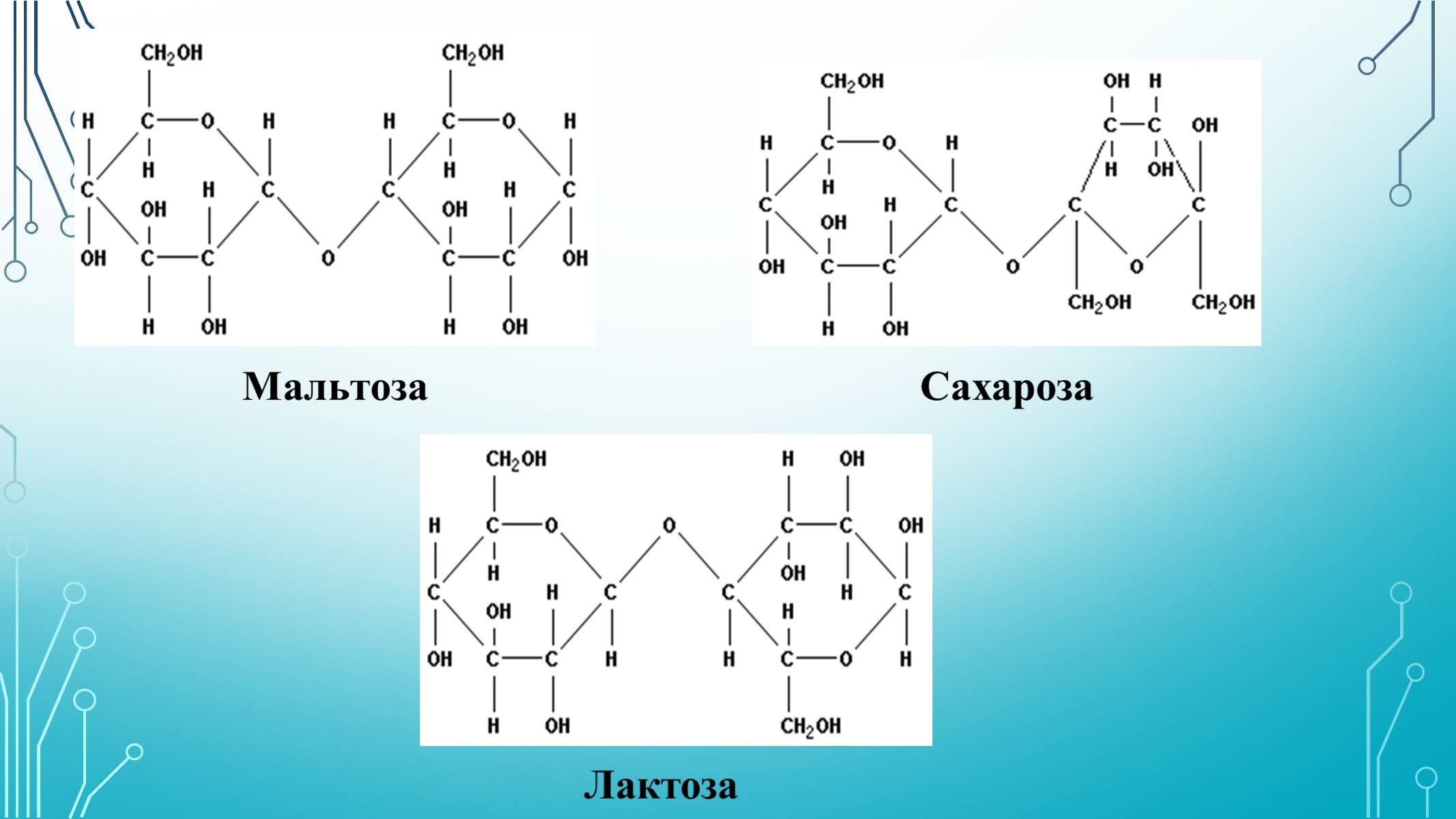 Презентація на тему «Вуглеводи як компоненти їжі, їх роль у житті людини» (варіант 29) - Слайд #10