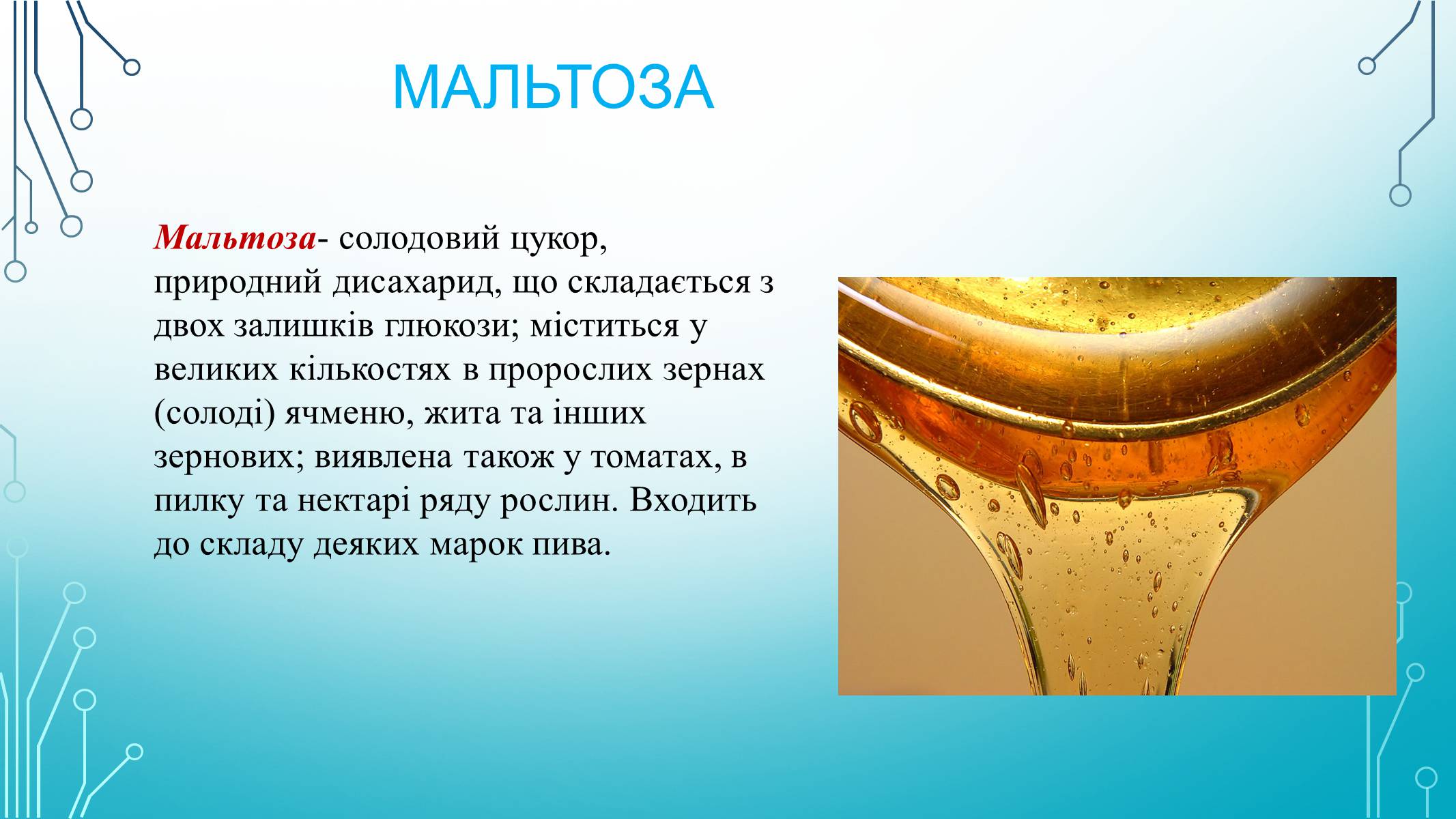 Презентація на тему «Вуглеводи як компоненти їжі, їх роль у житті людини» (варіант 29) - Слайд #14