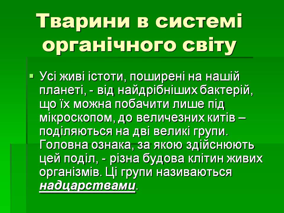 Презентація на тему «Зоологія» - Слайд #11