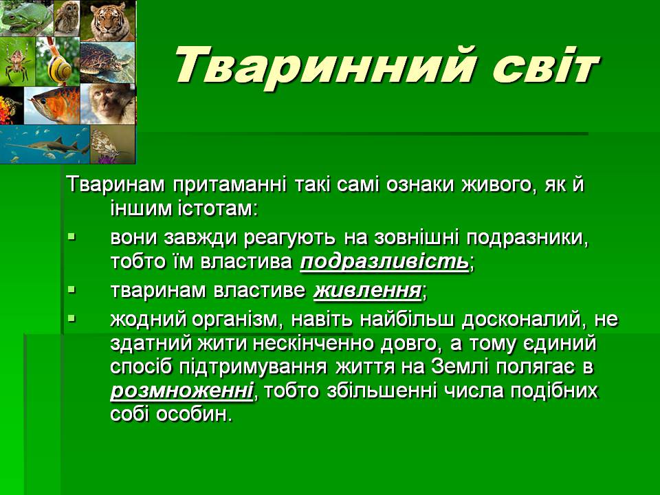 Презентація на тему «Зоологія» - Слайд #8