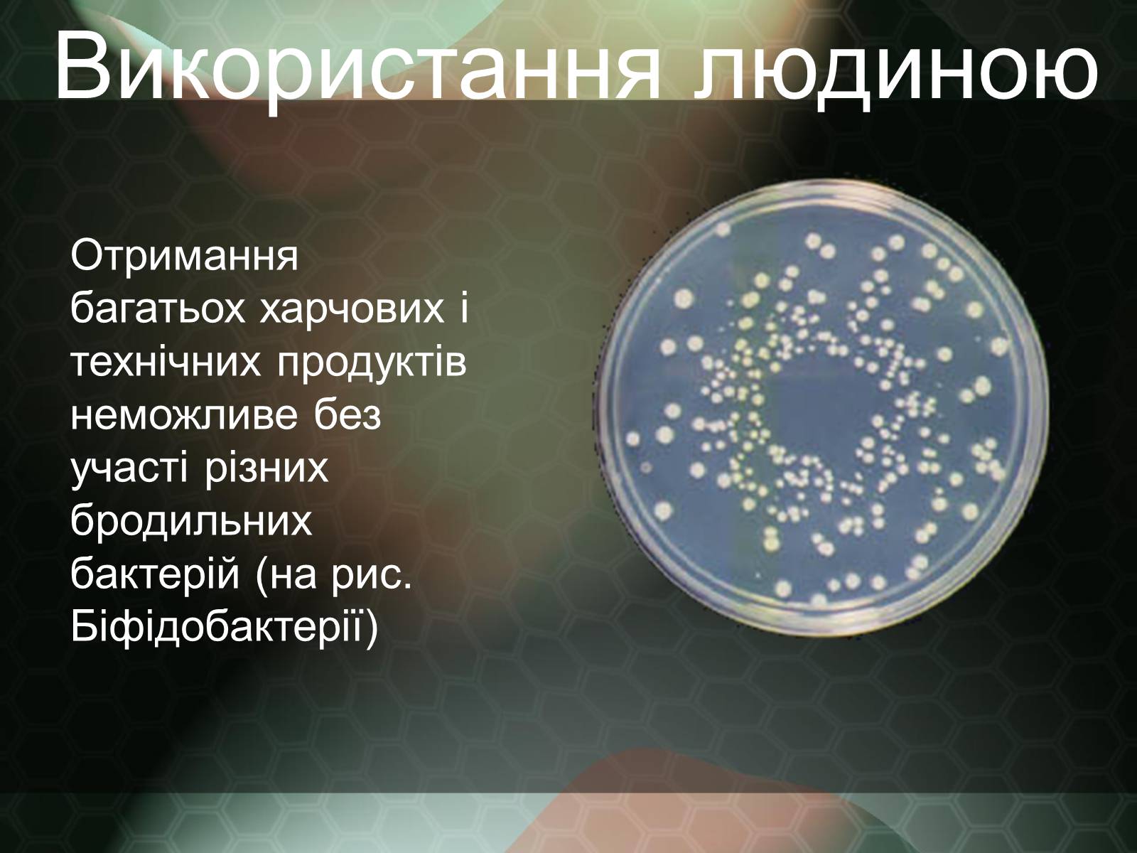 Презентація на тему «Прокаріотична клітина» - Слайд #18