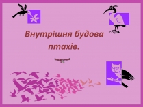 Презентація на тему «Внутрішня будова птахів» (варіант 2)