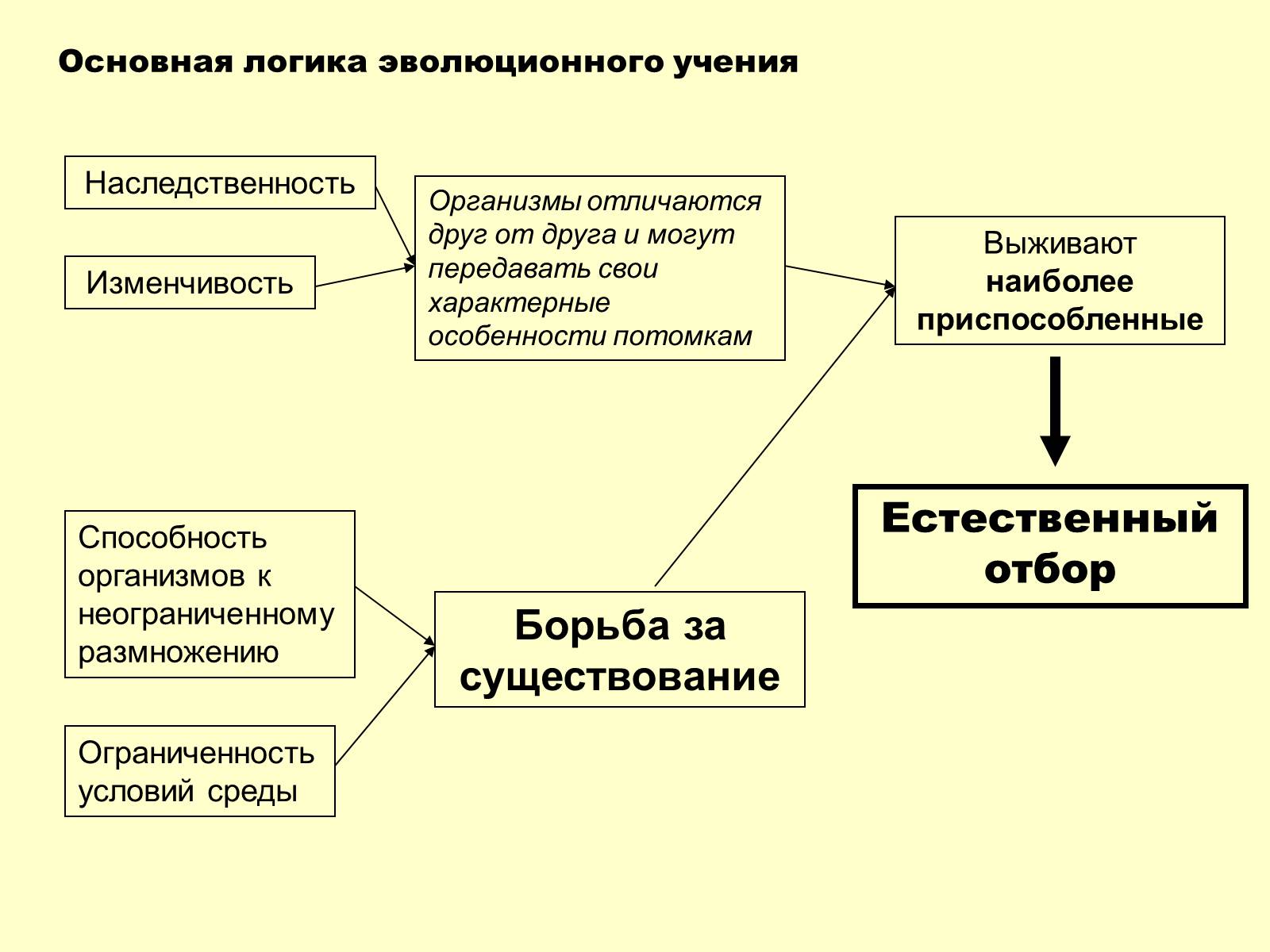 Презентація на тему «Эволюционная теория Дарвина» - Слайд #6