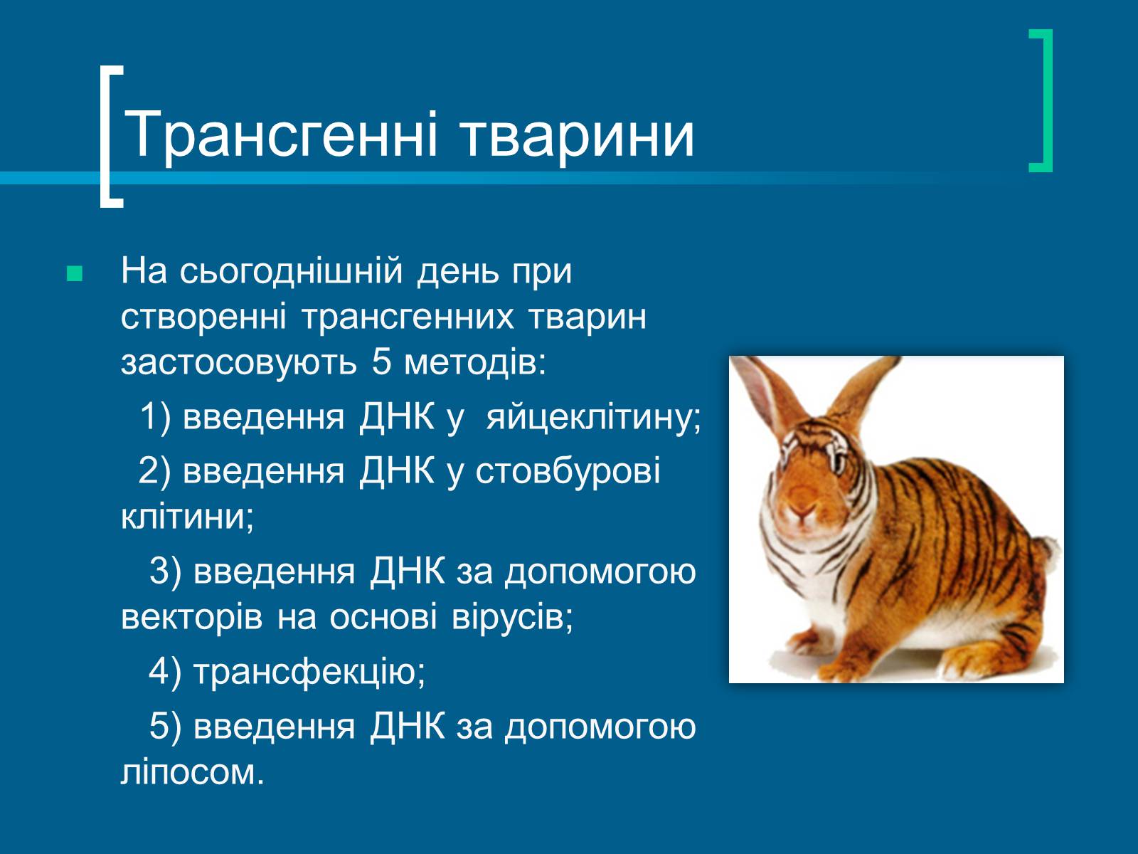 Презентація на тему «Трансгенні організми» (варіант 7) - Слайд #6