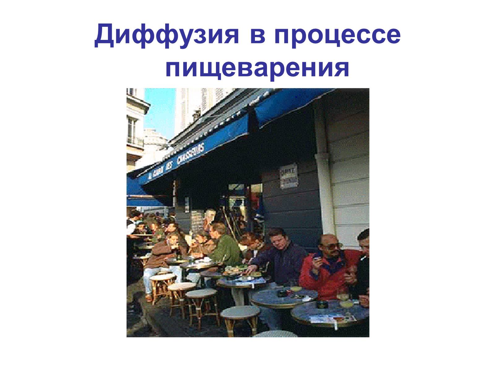 Презентація на тему «Процессы диффузии в организме человека» - Слайд #14