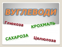 Презентація на тему «Вуглеводи як компоненти їжі, їх роль у житті людини» (варіант 9)