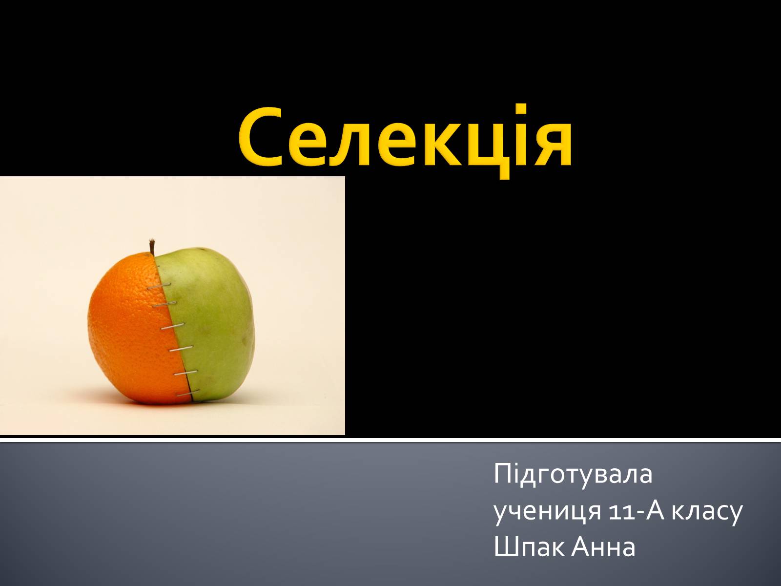 Презентація на тему «Селекція» (варіант 2) - Слайд #1