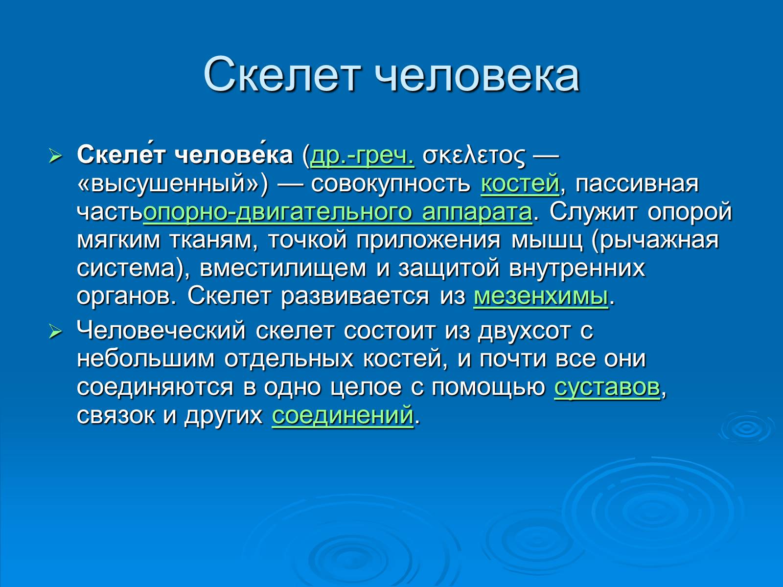 Презентація на тему «Анатомическое отличие скелетов мужчин и женщин» - Слайд #2