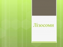 Презентація на тему «Лізосоми» (варіант 2)