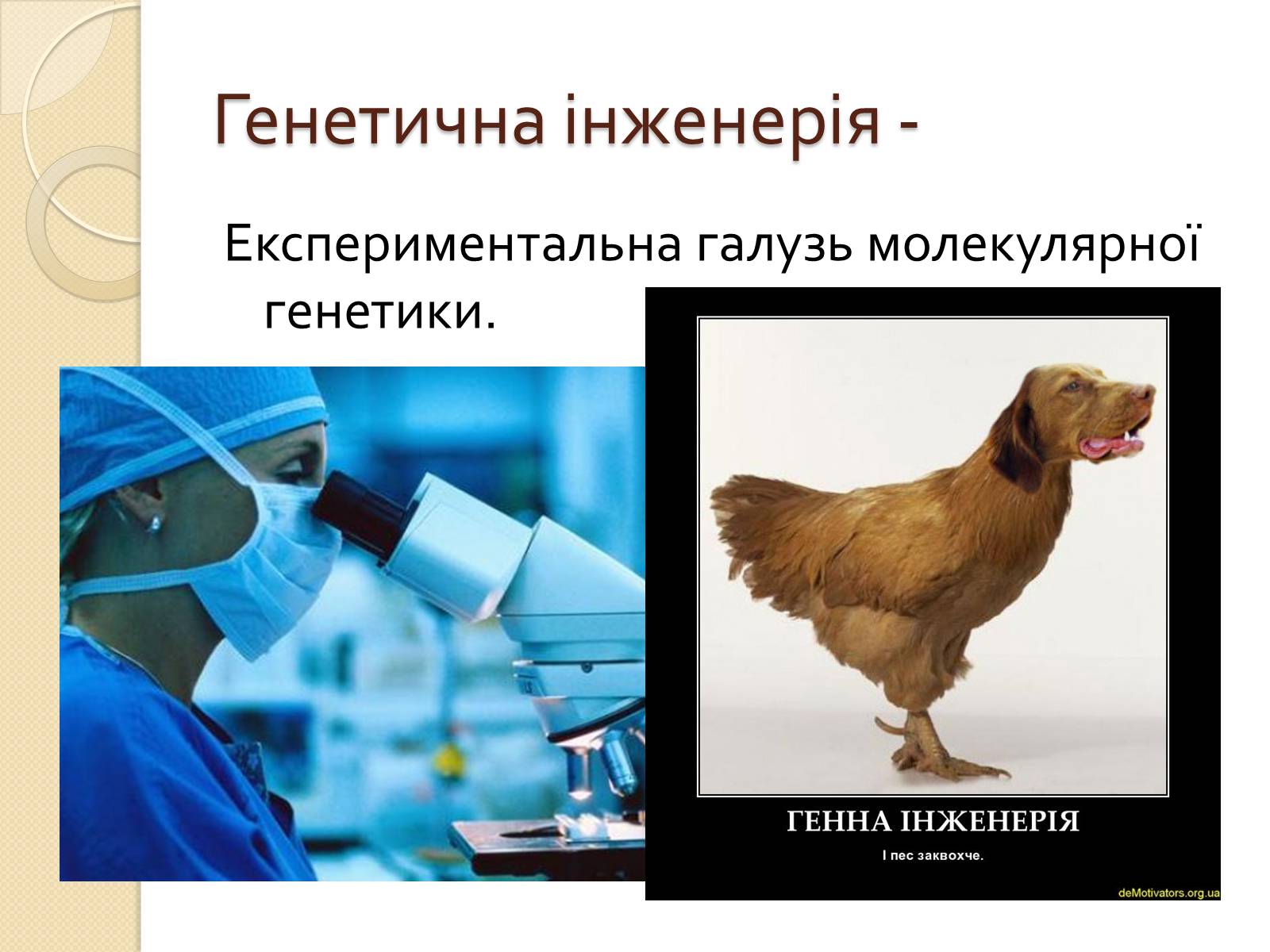 Презентація на тему «Основні закономірності функціонування генів у про – та еукаріотів» (варіант 4) - Слайд #34