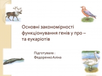 Презентація на тему «Основні закономірності функціонування генів у про – та еукаріотів» (варіант 4)