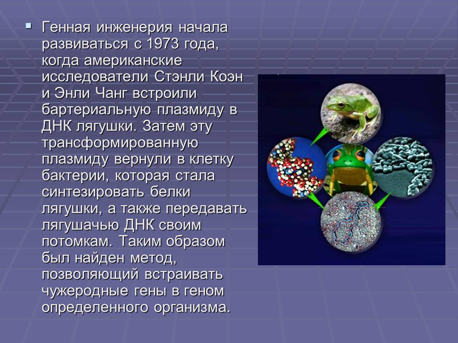 Презентація на тему «Биотехнологии» - Слайд #4