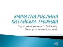 Презентація на тему «Кімнатна рослина китайська троянда»