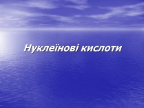 Презентація на тему «Нуклеїнові кислоти» (варіант 6)