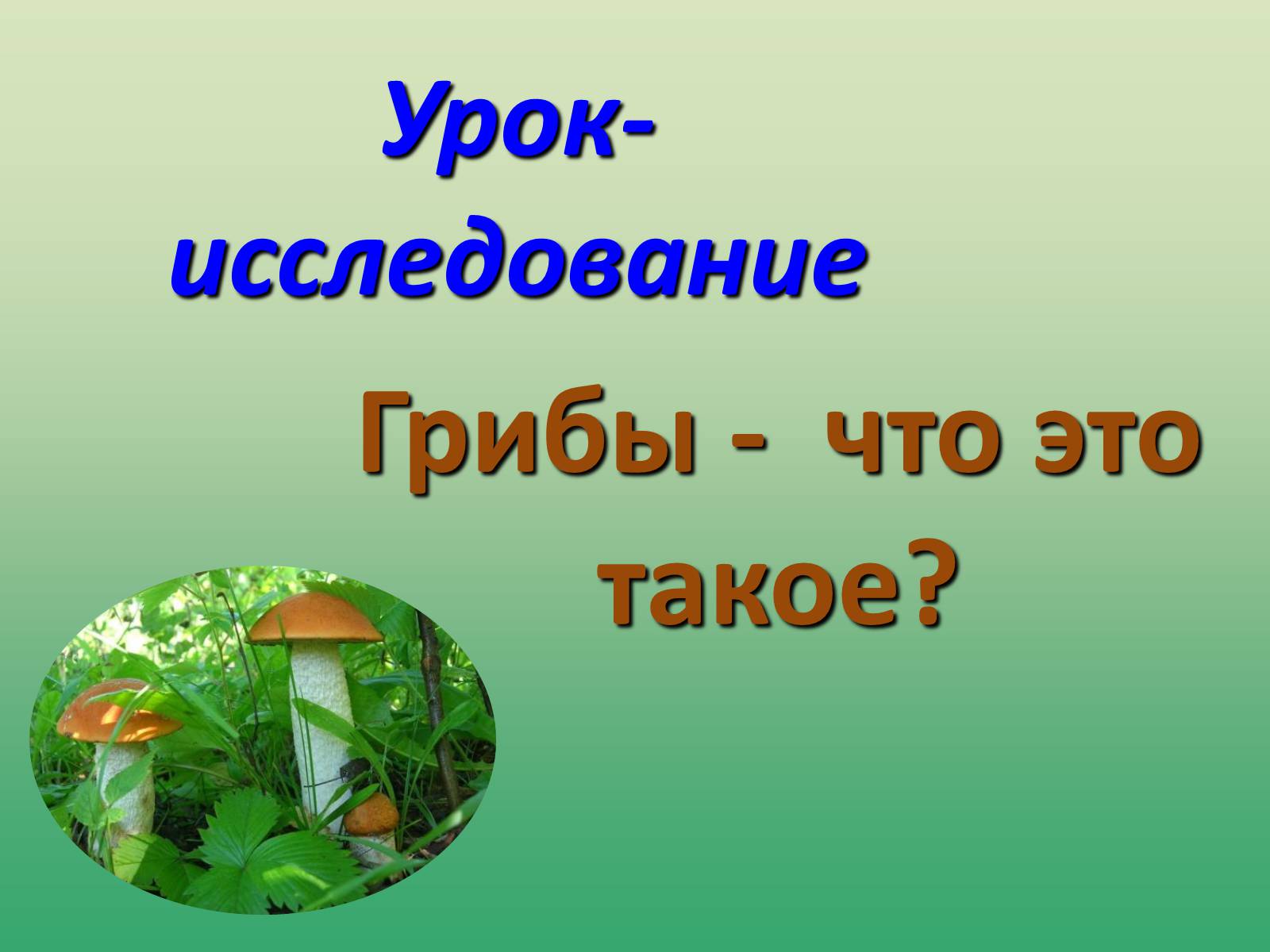 Презентація на тему «Растения» - Слайд #2