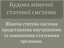 Презентація на тему «Будова жіночої статевої системи»