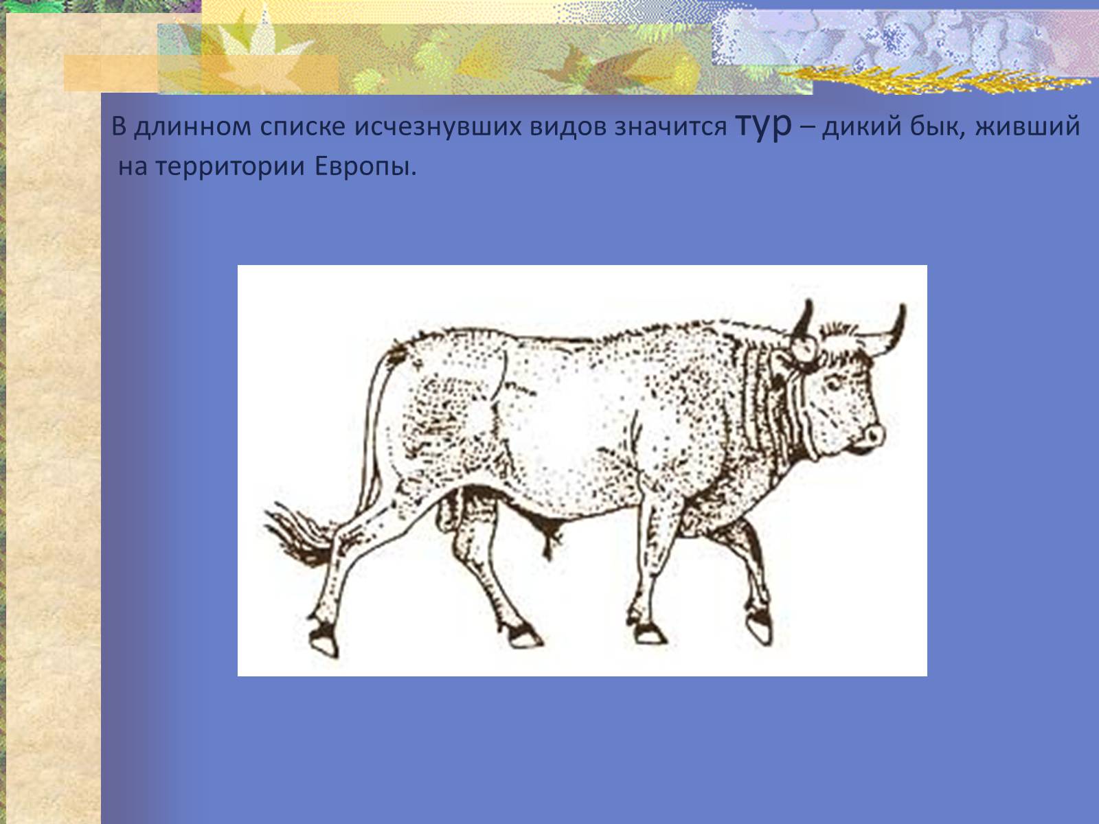 Презентація на тему «Воздействие человека и его деятельности на животных» - Слайд #11