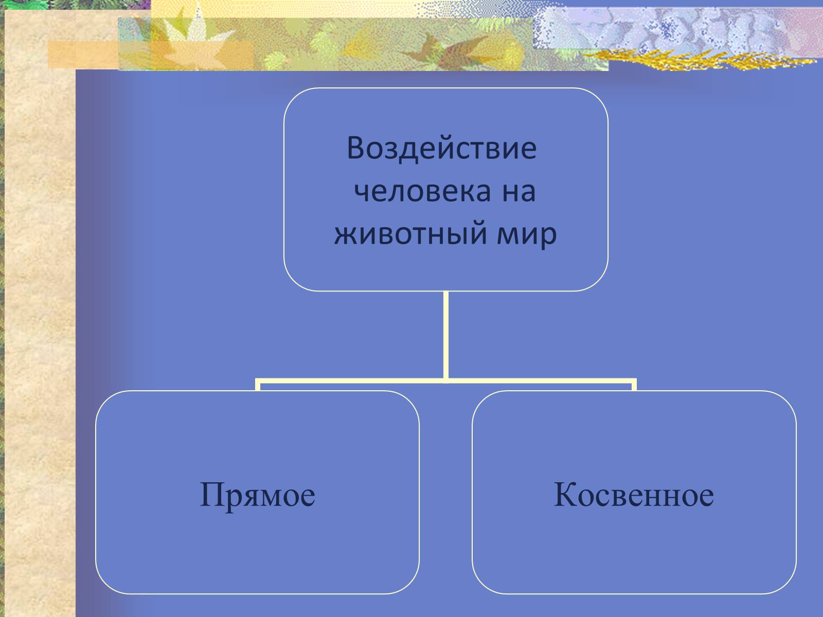 Презентація на тему «Воздействие человека и его деятельности на животных» - Слайд #8