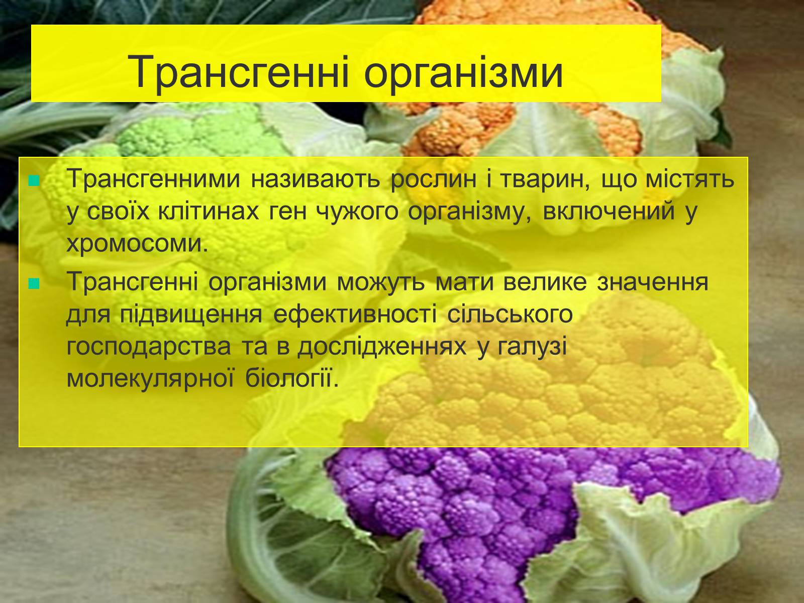 Презентація на тему «Трансгенні та химерні організми» (варіант 4) - Слайд #2