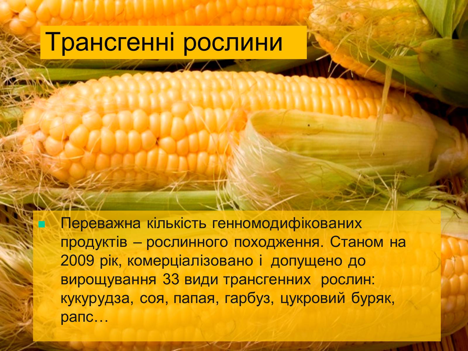 Презентація на тему «Трансгенні та химерні організми» (варіант 4) - Слайд #9