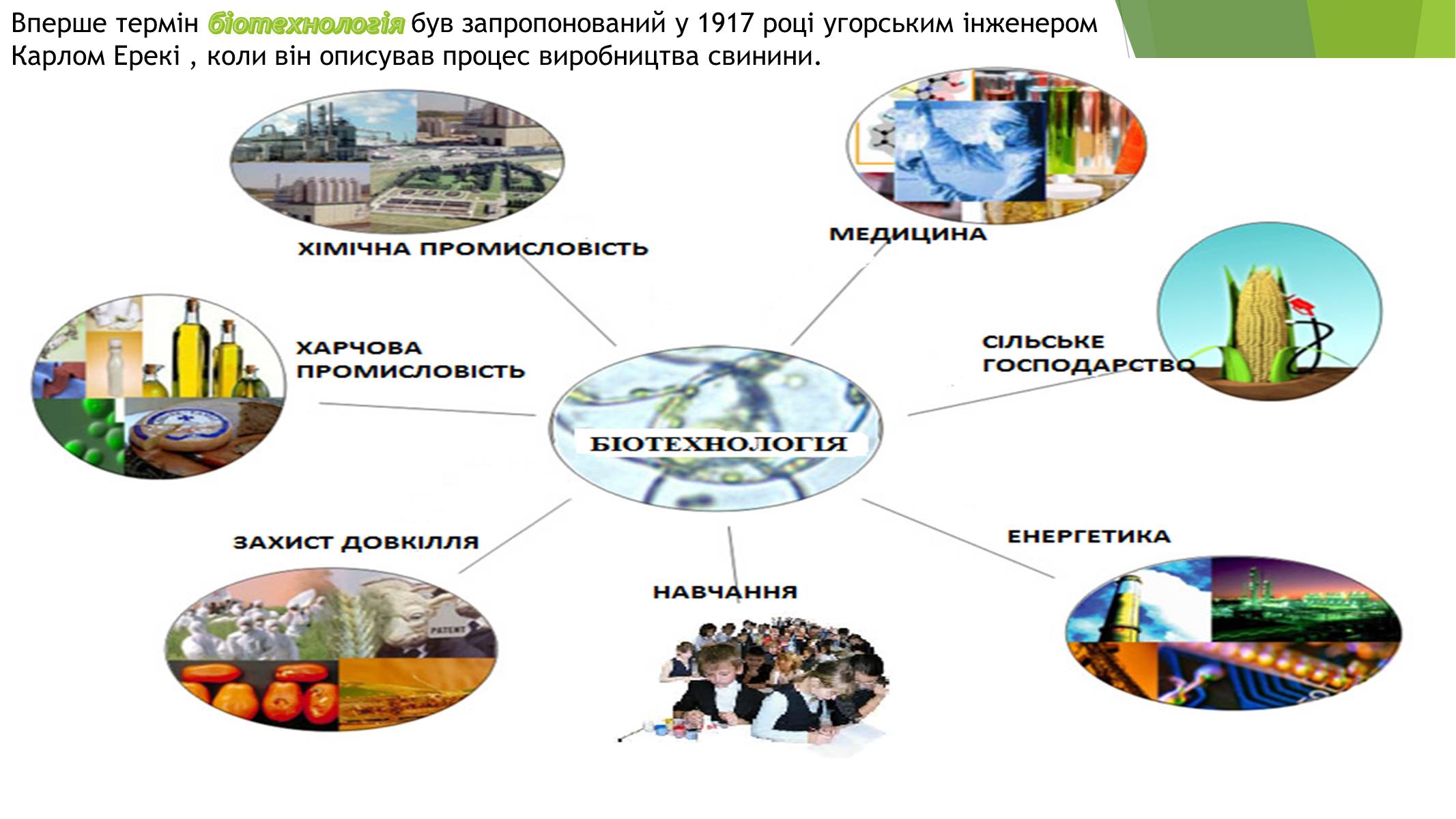 Презентація на тему «Основні напрями сучасної біотехнології» - Слайд #2