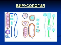 Презентація на тему «Вирусология»