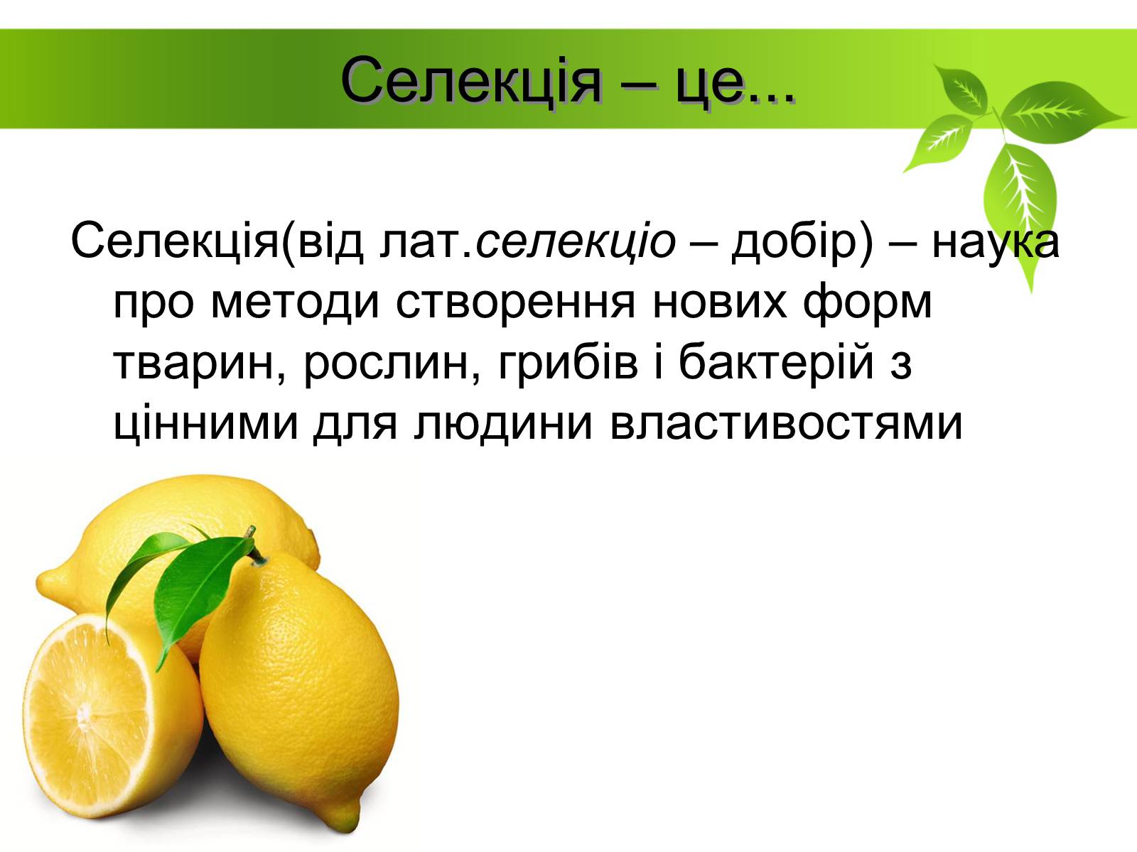 Презентація на тему «Генетичні основи селекції рослин» (варіант 1) - Слайд #2