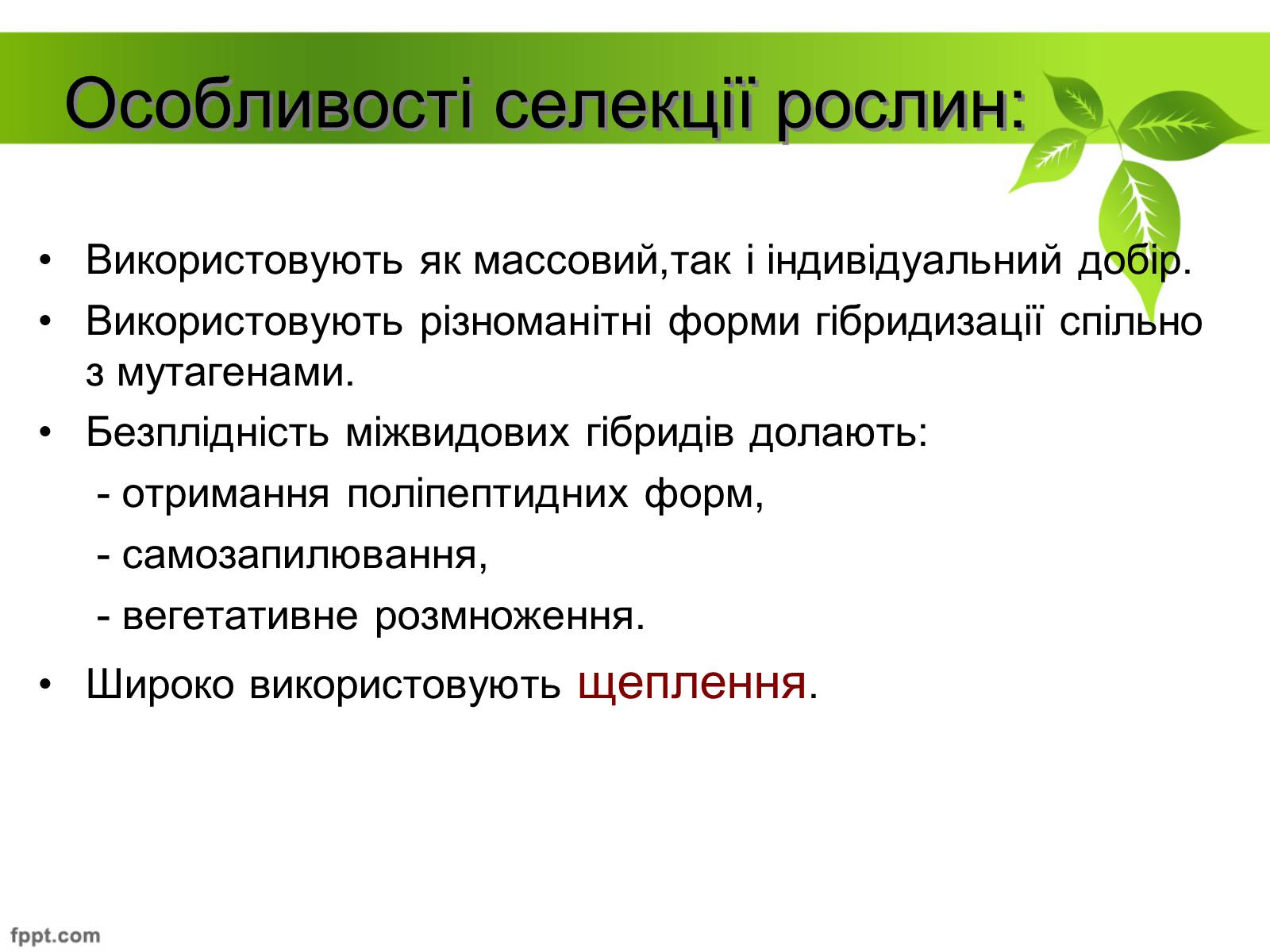 Презентація на тему «Генетичні основи селекції рослин» (варіант 1) - Слайд #6