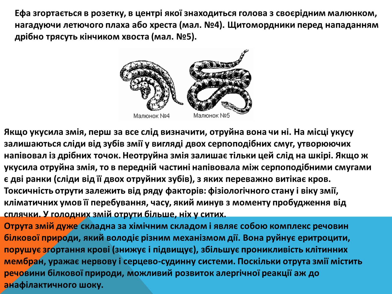 Презентація на тему «Перша допомога при отруэннях і укусах» - Слайд #5