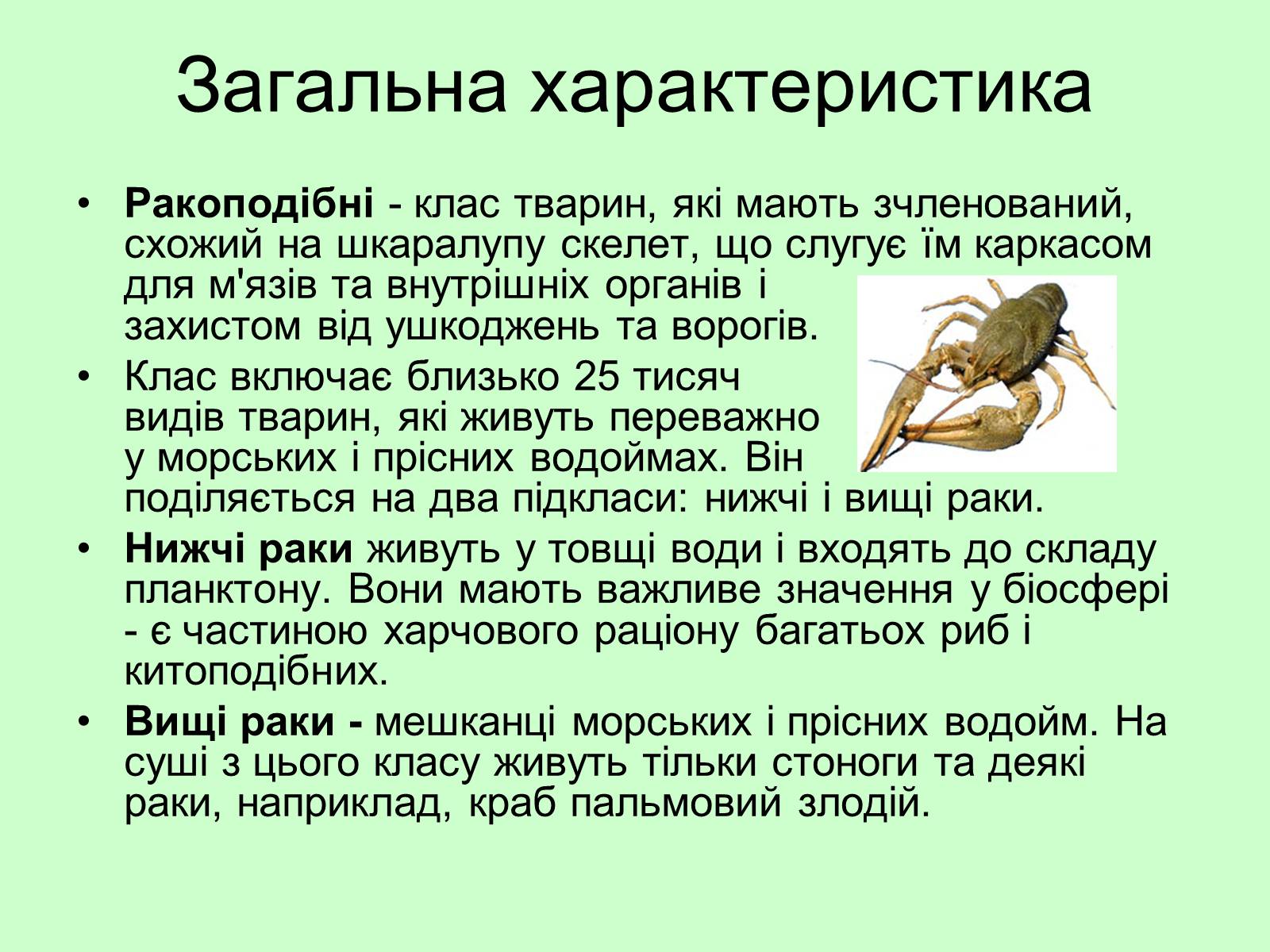 Презентація на тему «Ракоподібні» (варіант 3) - Слайд #2