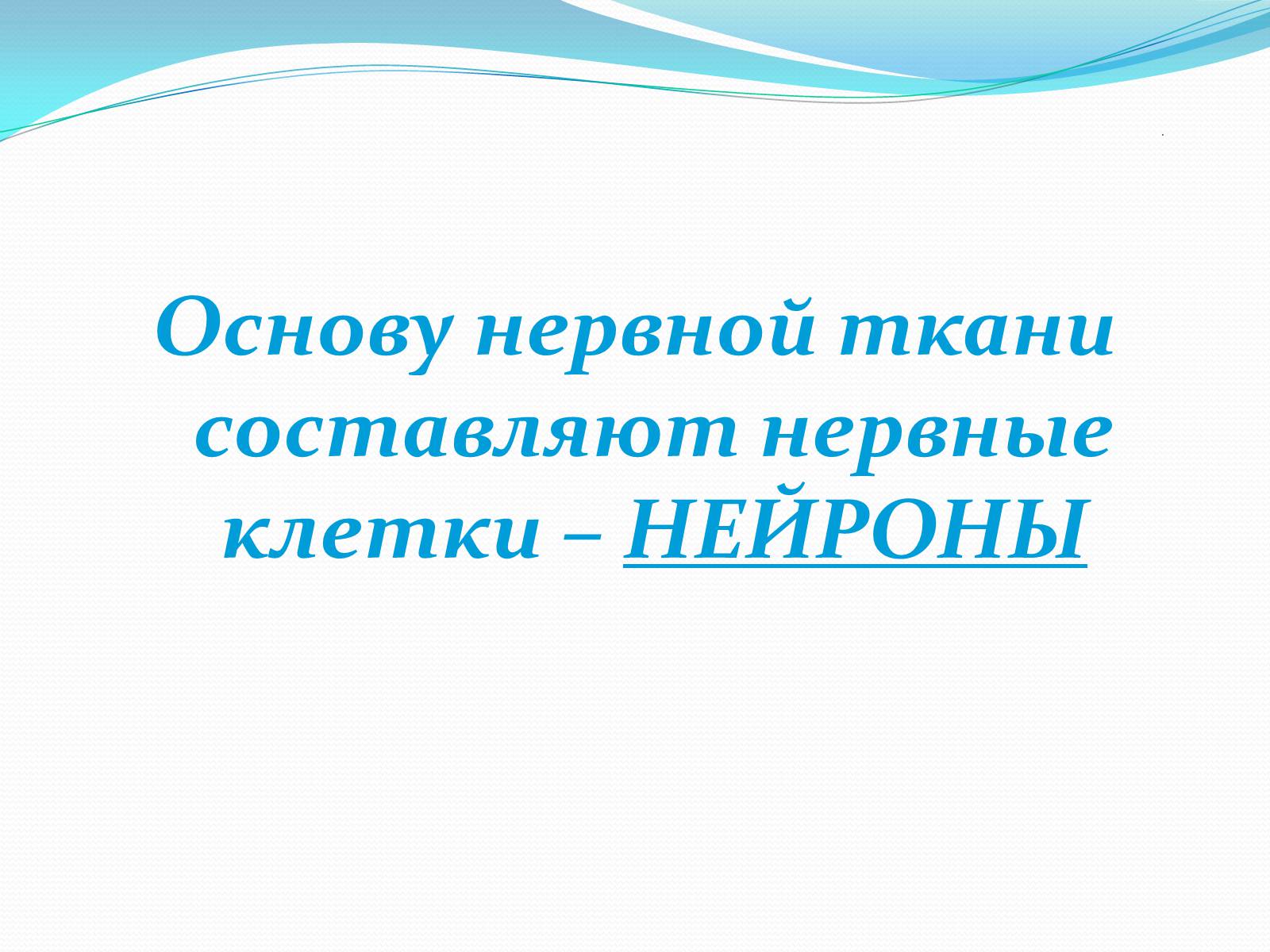 Презентація на тему «Нервная система человека» - Слайд #9