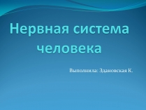 Презентація на тему «Нервная система человека»