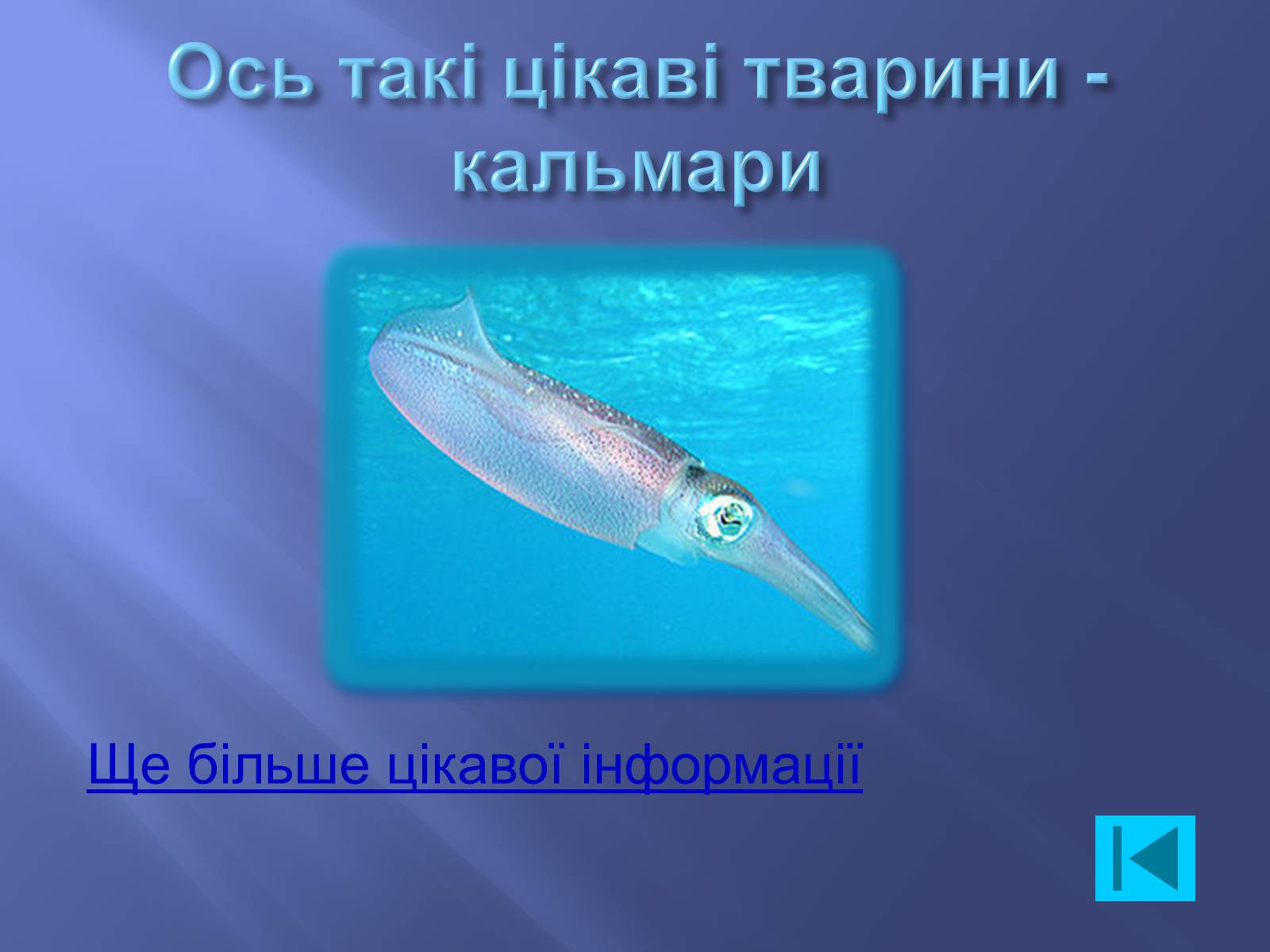 Презентація на тему «Чим цікаві Кальмари» - Слайд #6