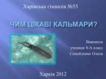 Презентація на тему «Чим цікаві Кальмари»