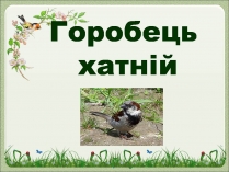 Презентація на тему «Горобець хатній»