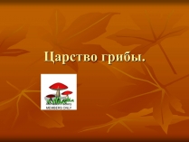 Презентація на тему «Царство грибы» (варіант 1)