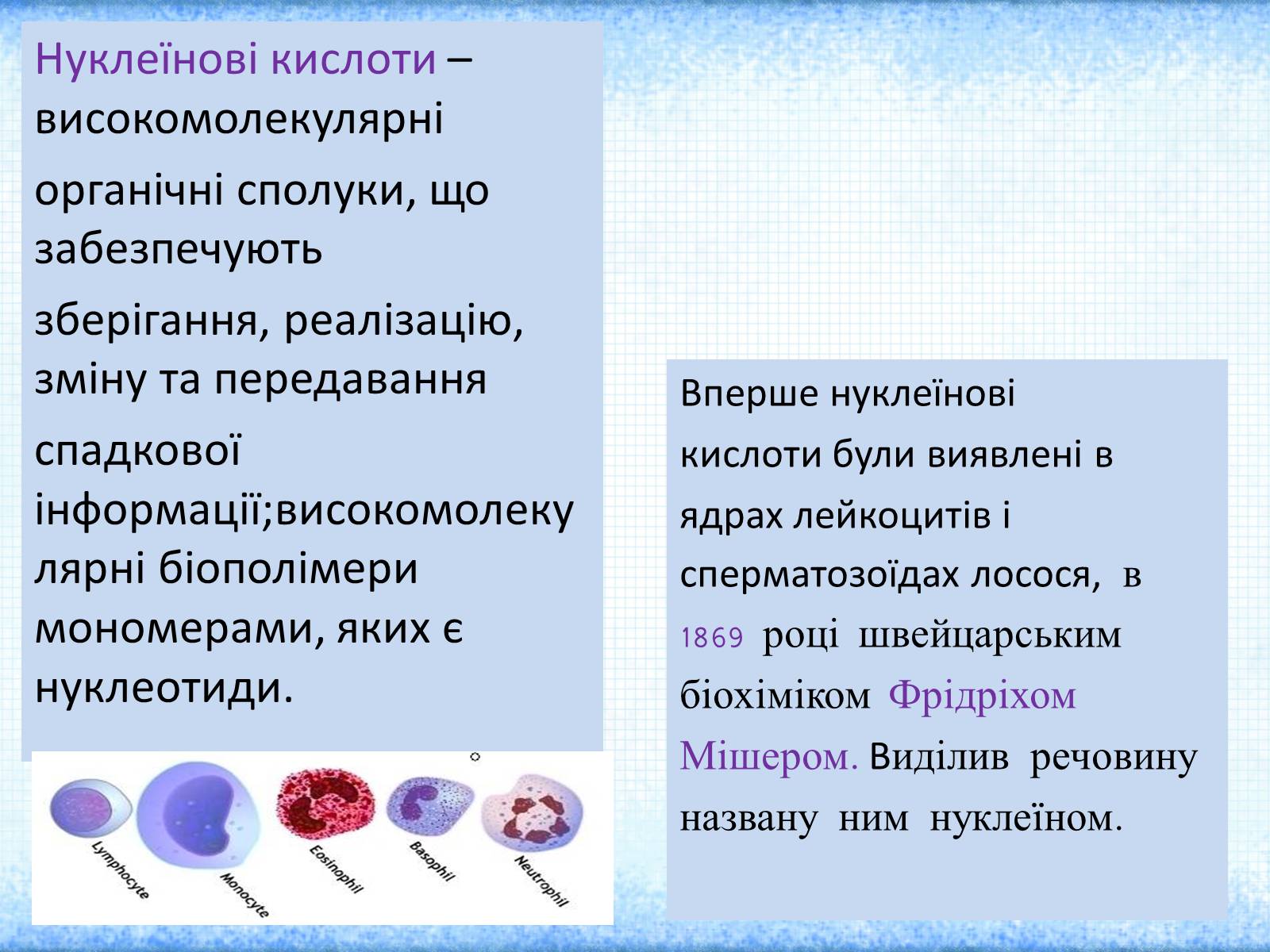 Презентація на тему «Нуклеїнові кислоти» (варіант 2) - Слайд #3