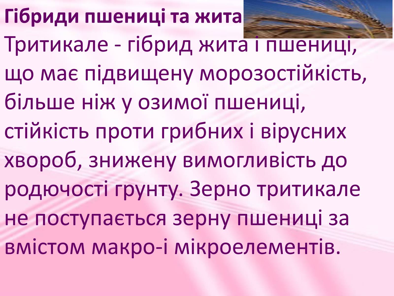 Презентація на тему «Віддалена гібридизація рослин» - Слайд #10