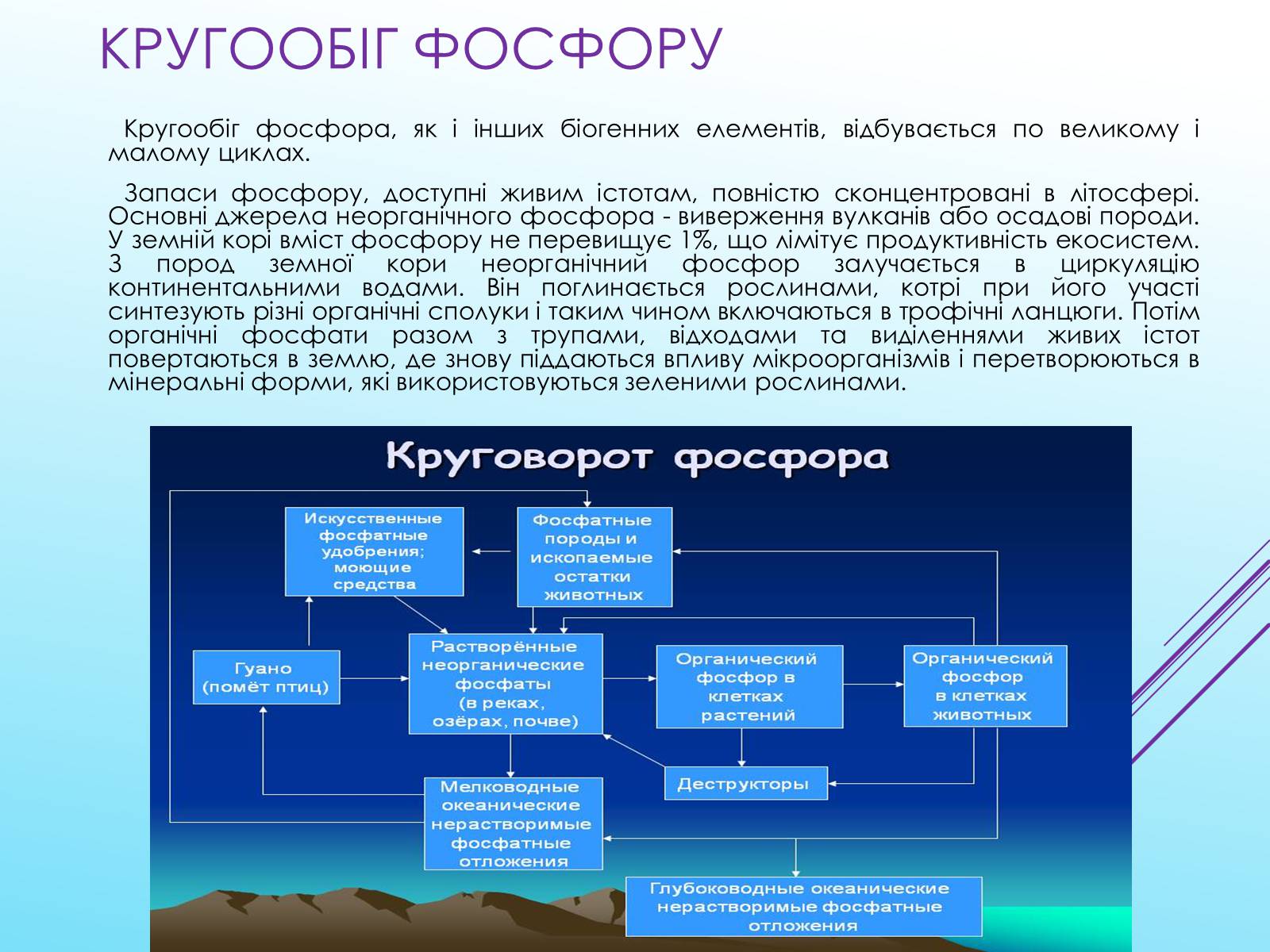 Презентація на тему «Кругообіг речовин у природі» (варіант 3) - Слайд #8