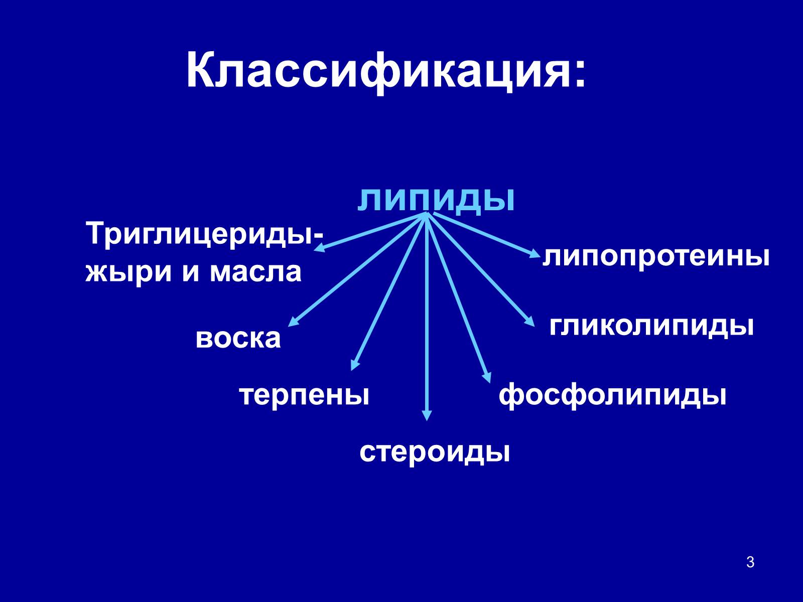 Презентація на тему «Органические вещества: липиды» - Слайд #3