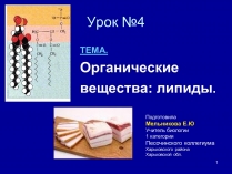 Презентація на тему «Органические вещества: липиды»