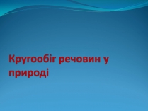 Презентація на тему «Кругообіг речовин у природі» (варіант 1)