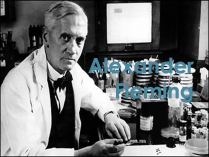 Презентація на тему «Alexander Fleming» (варіант 1)